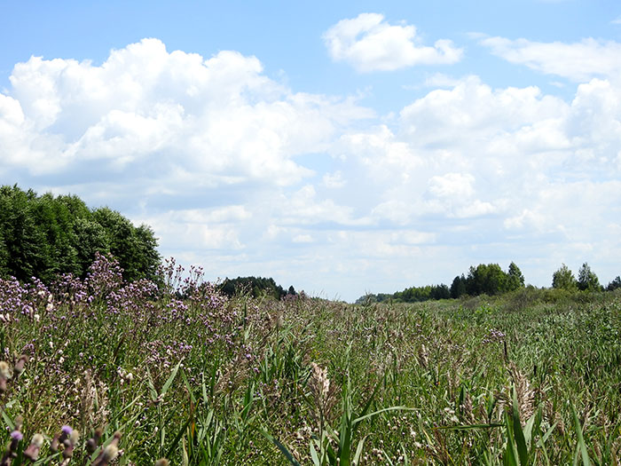 Y 07 2108 14