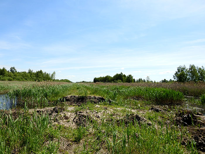 Y 07 2108 7