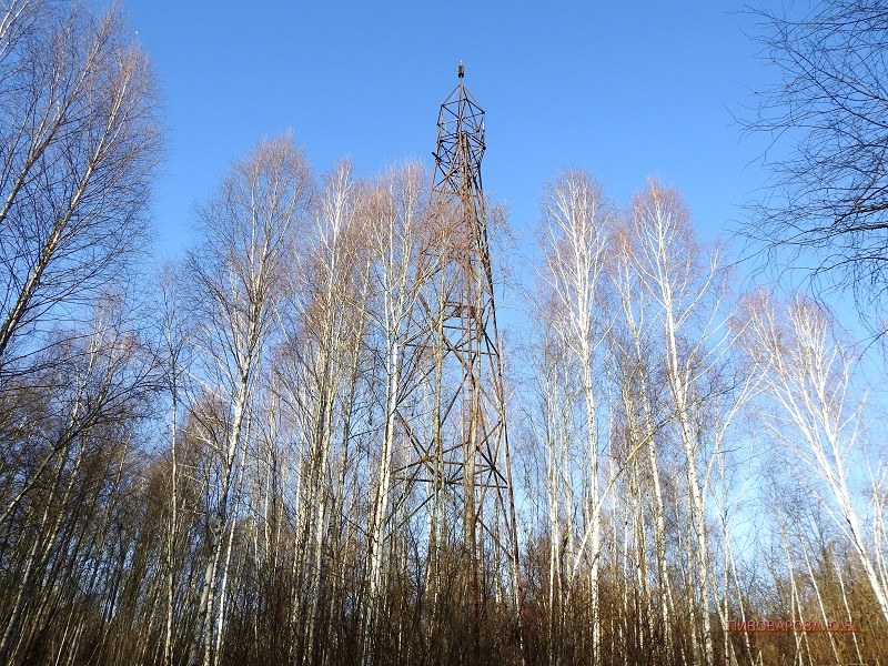 pivovarova 1 2020 7