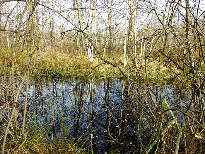 kazkanal