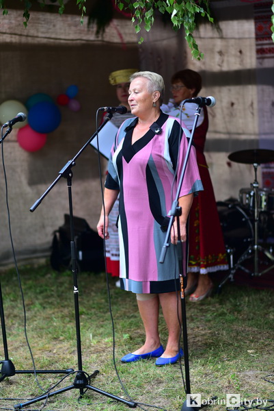 brilovo 2019 10