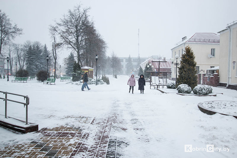 moroz
