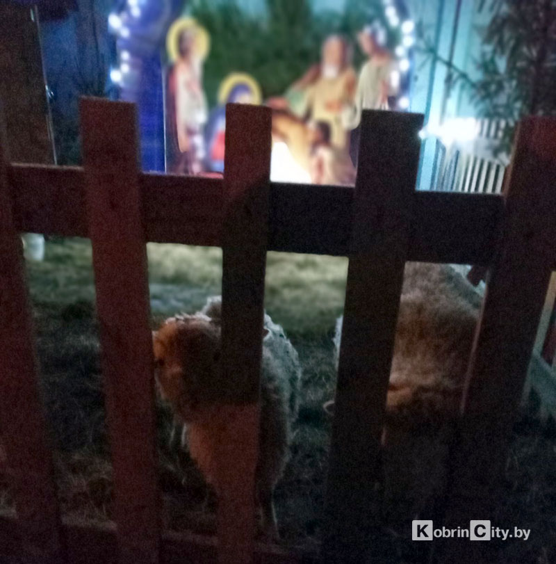 Рождество Христово! В храмах Кобрина состоялись торжественные богослужения. ФОТО