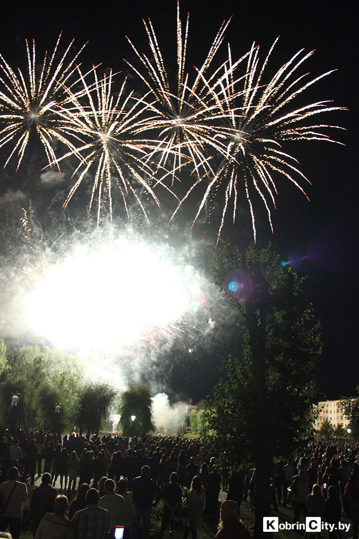 dgor 2018 4