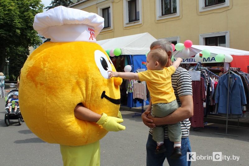 den Kobrina 2019 2 26