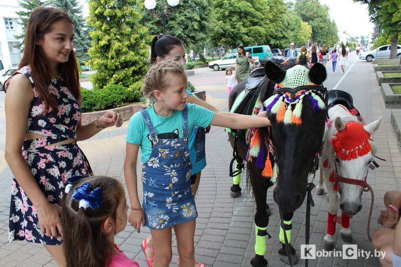 den Kobrina 2019 2 29
