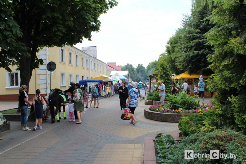 den Kobrina 2019 2 30