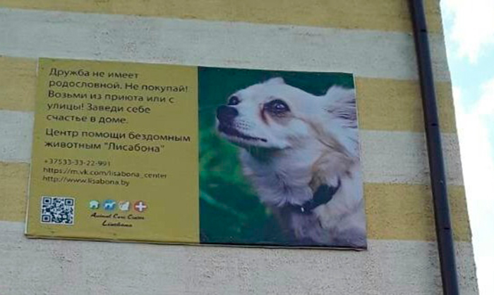 pomoch givotnin3