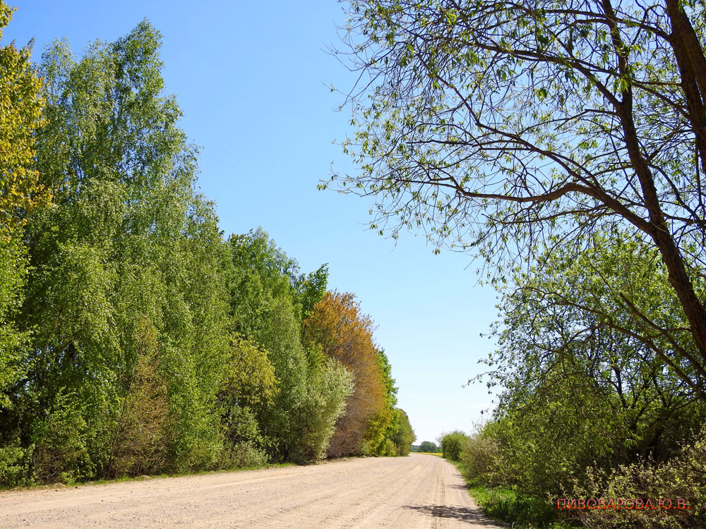 lelikovo002