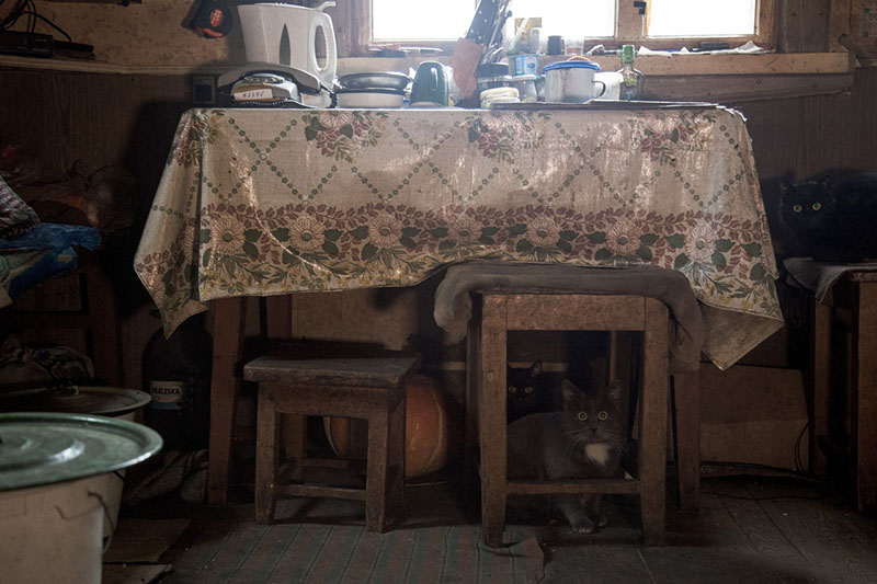 pavel panasuk 16