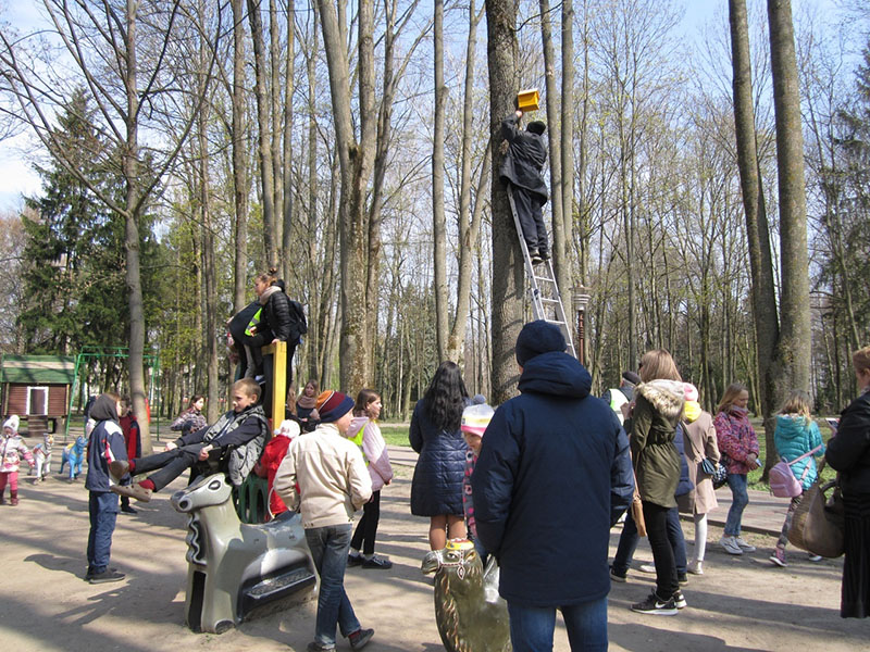 skvorechnik1