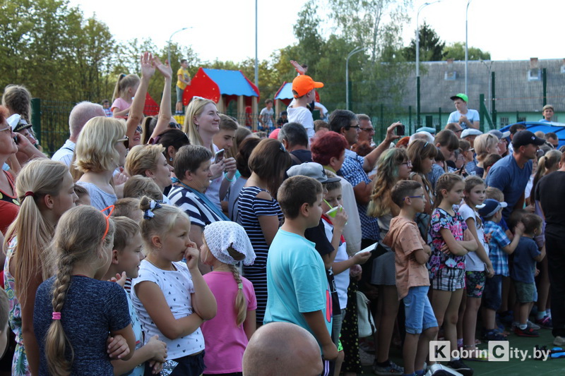 DenVVS 17082019 10