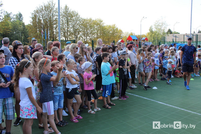 DenVVS 17082019 12