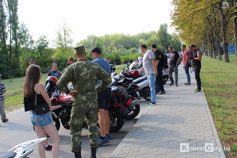 DenVVS 17082019 22