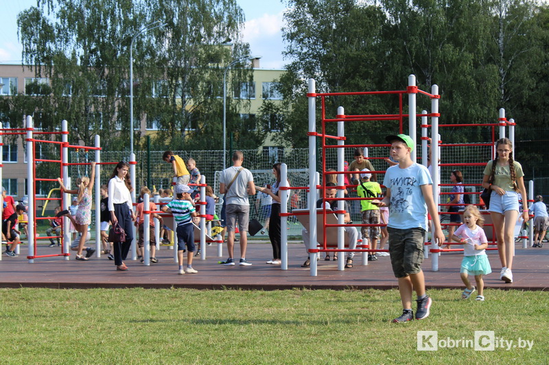 DenVVS 17082019 28