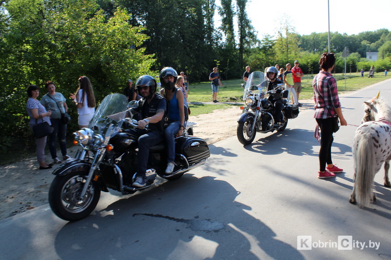 DenVVS 17082019 33