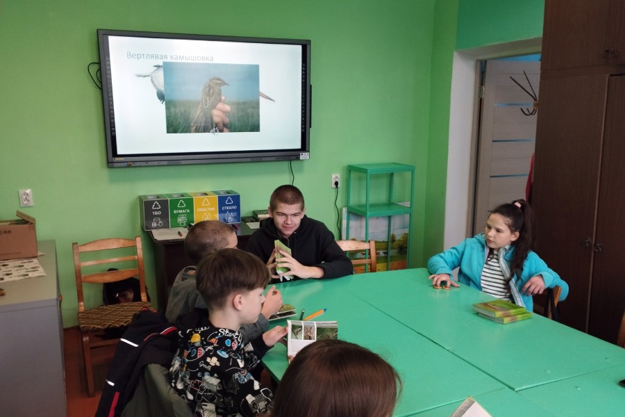 Нейросеть составила занятие для школьников Кобрина — эксперимент и его результаты