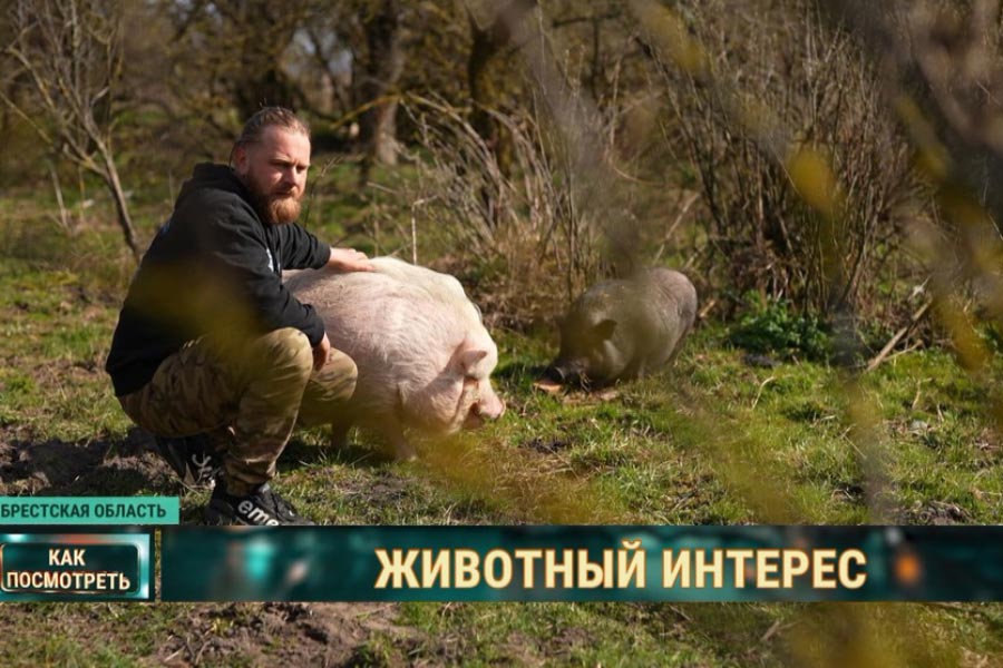 Кто-то покрутит пальцем у виска, а кто-то задумается. Белорус под Кобрином построил ферму для старых и спасенных животных