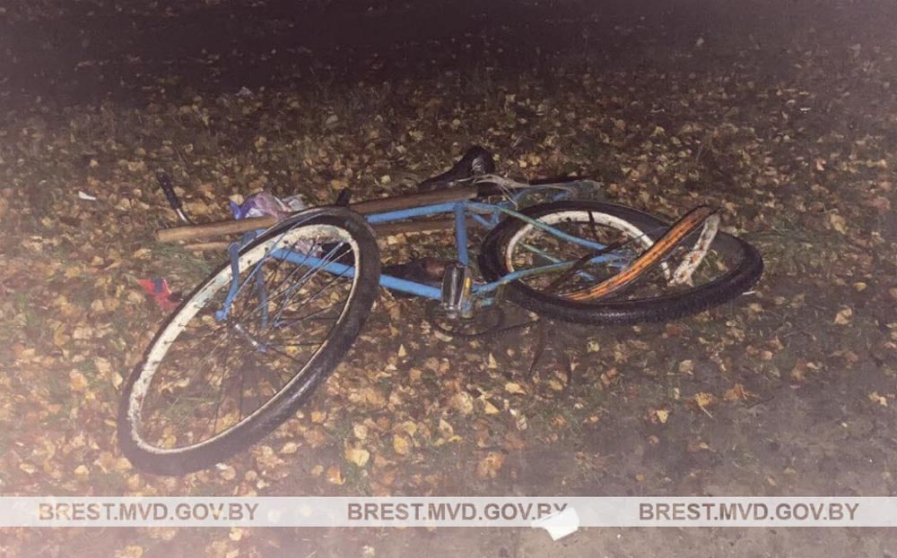 velosiped sbil