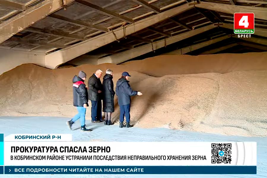Прокуратура Кобринского района обнаружила нарушения при хранении урожая в сельхозорганизации