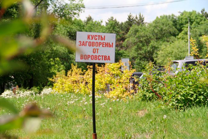 Не скрылся в лесу: в Брестской области задержали серийных дачных воров, один из подозреваемых – житель Кобринского района