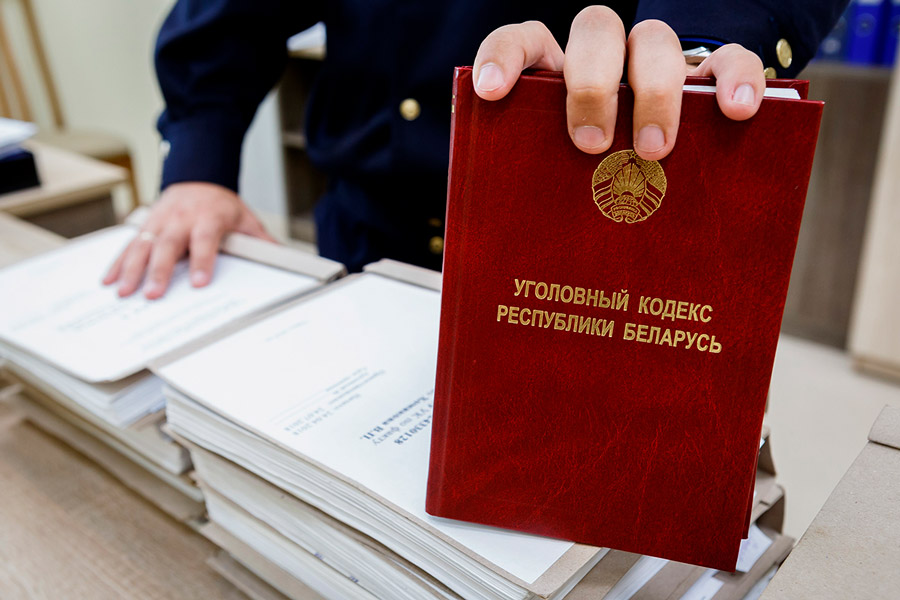 В Брестской области задержали двух педофилов – пострадали девочки 9 и 13 лет