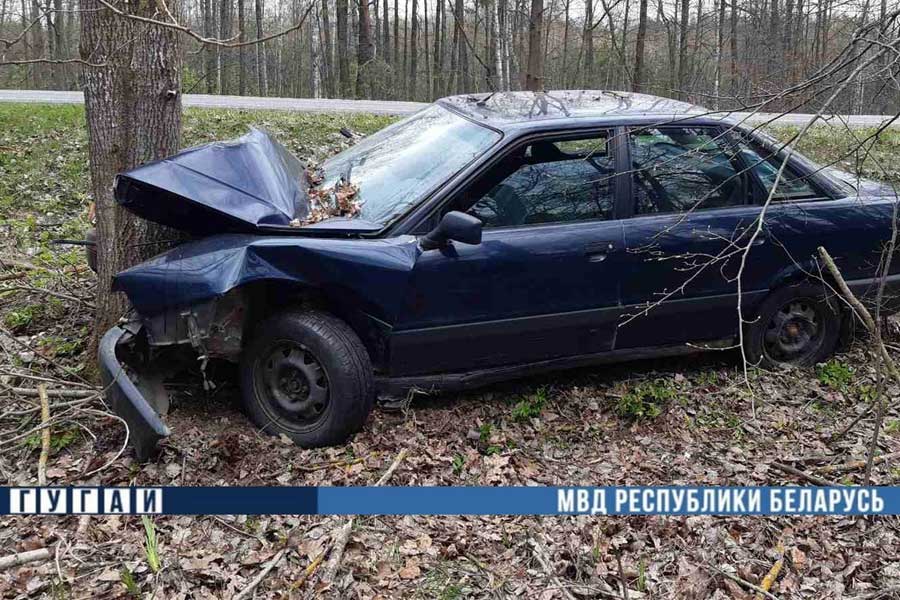 Житель Кобринского района на трассе P−81 уснул за рулем и врезался в дерево