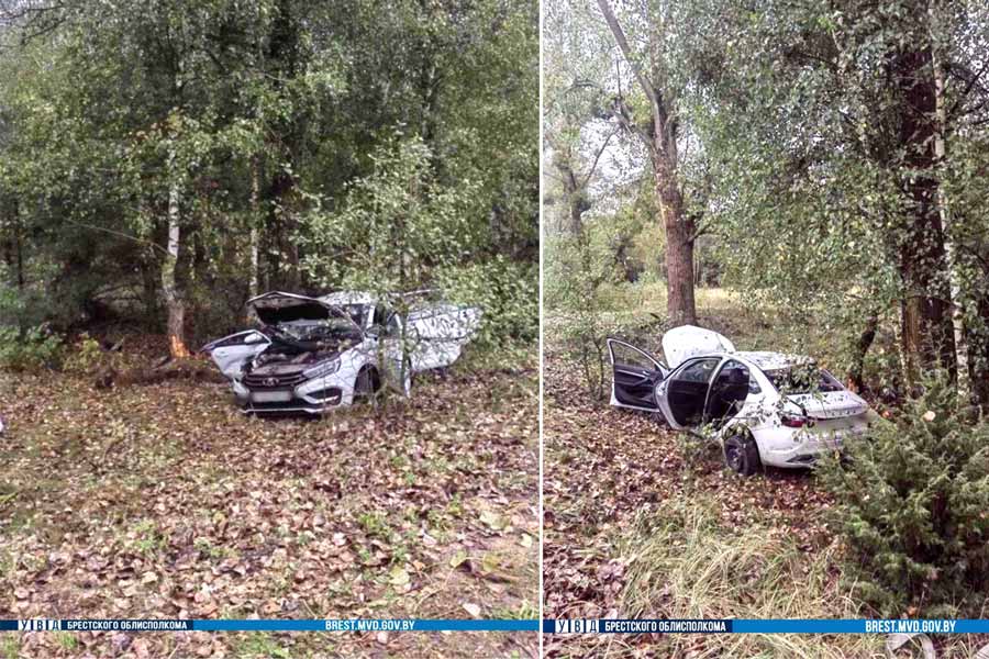 В Малоритском районе Lada врезалась в дерево – погиб 20-летний пассажир, водитель госпитализирован