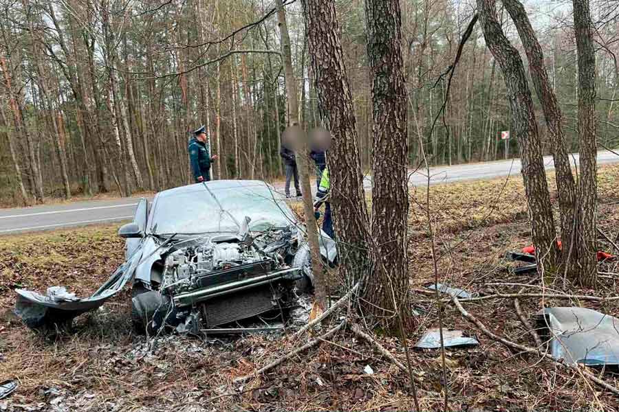 В Кобринском районе легковой автомобиль съехал в кювет и врезался в дерево – водителя спасали работники МЧС