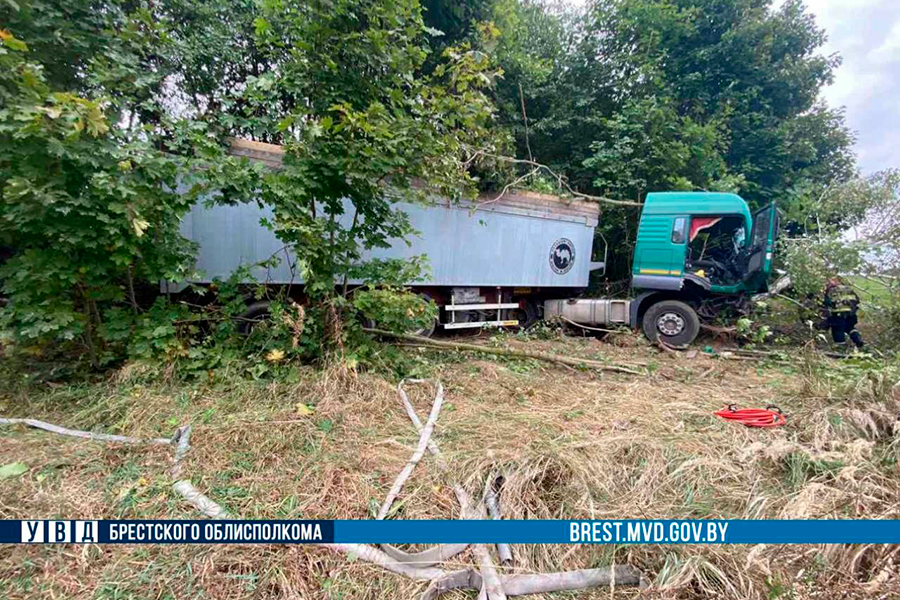 В Брестской области грузовик съехал в кювет и врезался в дерево из-за столкновения с легковым авто