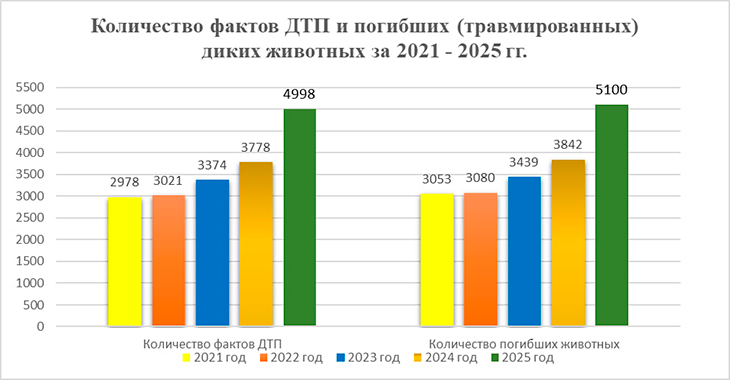 dtp s zhivotnymi 26 210926