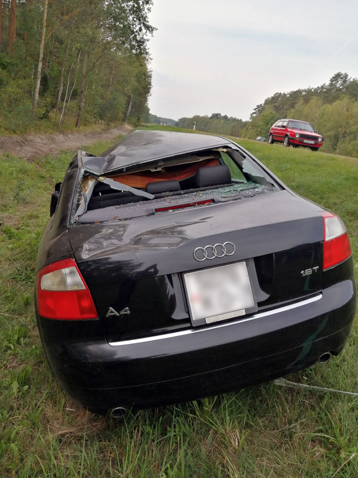 В Кобринском районе три автомобиля поочередно столкнулись с лосем 