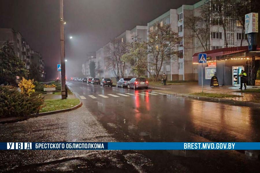 Кобринчанину, который сбил женщину с ребенком и скрылся — вынесен приговор: прокуратура поддержала гособвинение в суде