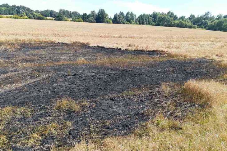За сутки в Кобринском районе горело поле с зерновыми и хозпостройка