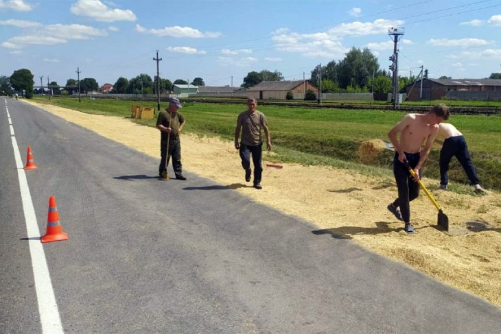 Дорога из зерна длиною в 2 километра — в Кобрине 4 тонны собранного урожая просыпалось на проезжую часть