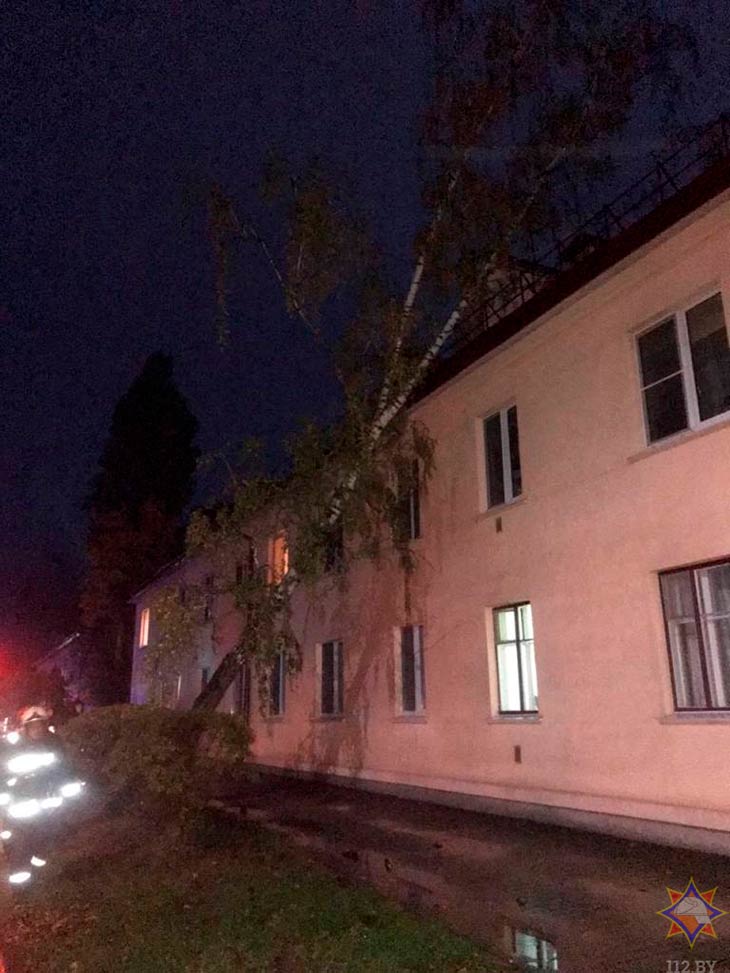 Последствия сильного ветра на Брестчине (фото). Рекомендации спасателей при непогоде