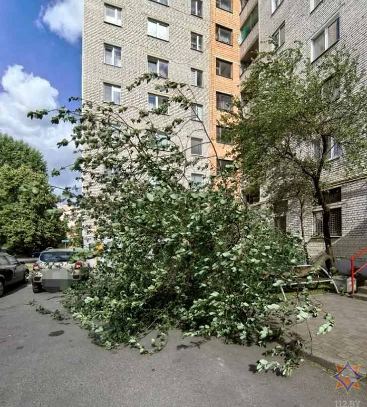posledstviya nepogody 2006 4
