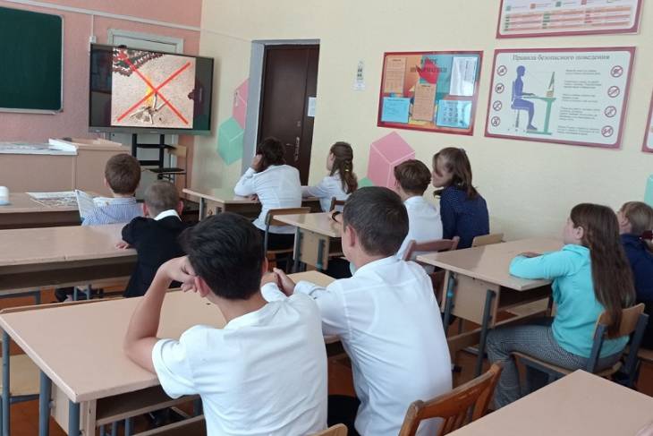 Кобринские спасатели рассказали ребятам Новосёлковской СШ о мерах безопасности, показали фильмы и задали вопросы