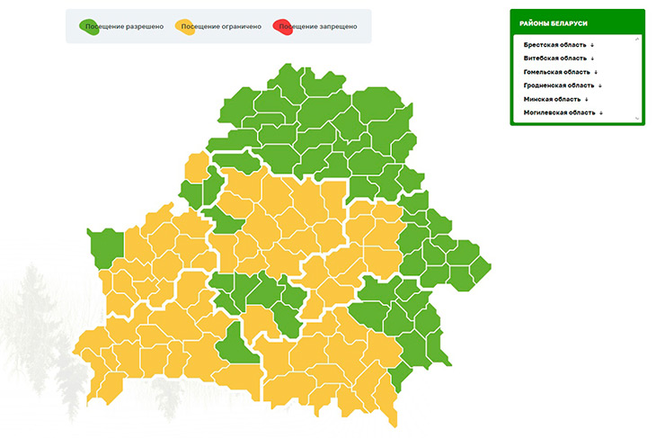 ogranicheniye na posishchenie lesov220325