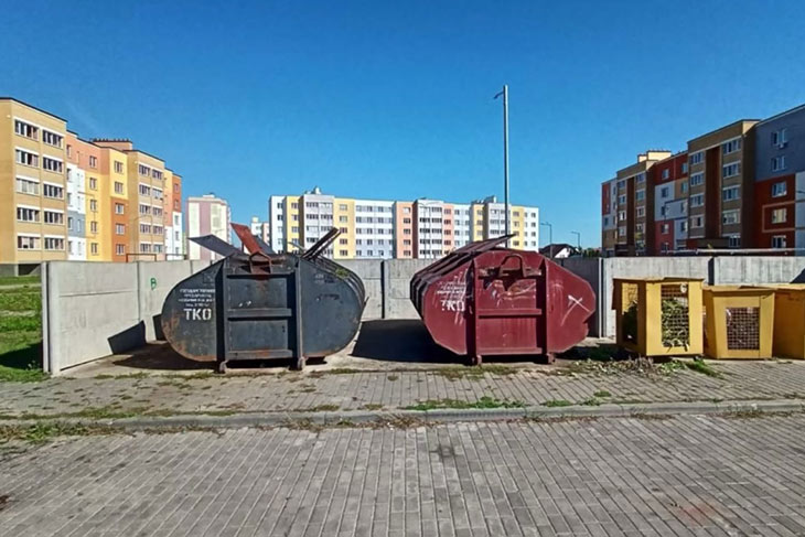 В Кобрине охотник выбросил «тулуп», а в мусоре нашли шкуру кабана: мужчину ждет суд за перемещение дикого животного