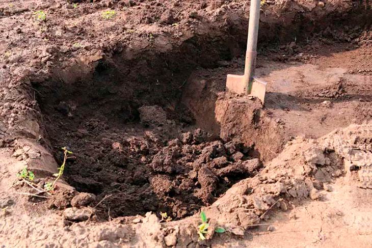 Вывезли в лес из-за 150 рублей долга и заставили копать яму: в Бресте задержали вымогателей