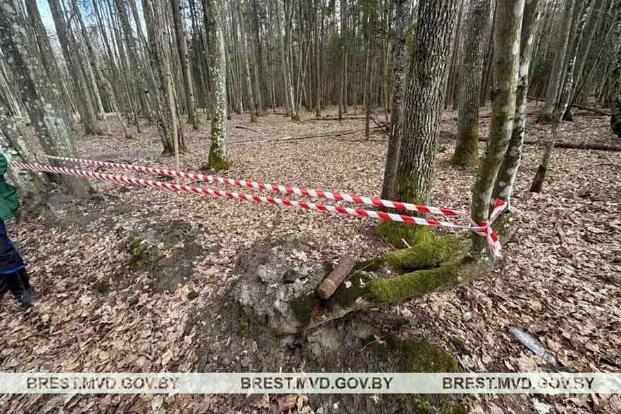 Будьте осторожны: в лесах Брестчины находят снаряды времен Великой Отечественной войны