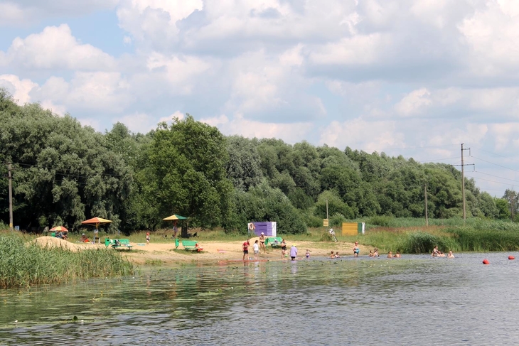 reidy 0208 2