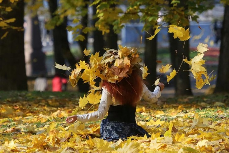 22 сентября — День осеннего равноденствия. Сегодня начинается астрономическая осень