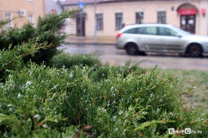 Ух ты, опять снежок и минус на термометре. Какую погоду передают в Кобрине с 3 по 7 февраля?