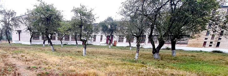 lelikovo schkola 2