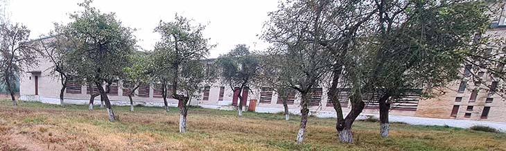 shkola 100924 1