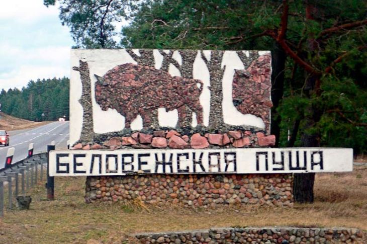 Визитка страны по мнению белорусов — какие туристические объекты Брестской области вошли в ТОП-10