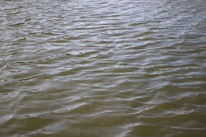  В минувшие выходные в Кобрине на реке Мухавец утонул мужчина