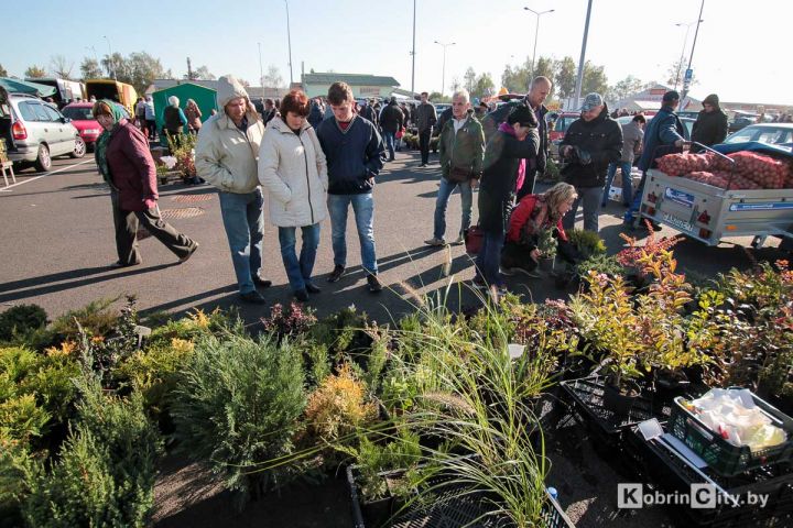 МАРТ недоволен ярмарками – в Беларуси хотят изменить правила их проведения